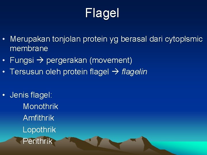 Flagel • Merupakan tonjolan protein yg berasal dari cytoplsmic membrane • Fungsi pergerakan (movement)