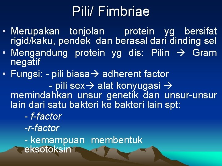 Pili/ Fimbriae • Merupakan tonjolan protein yg bersifat rigid/kaku, pendek dan berasal dari dinding