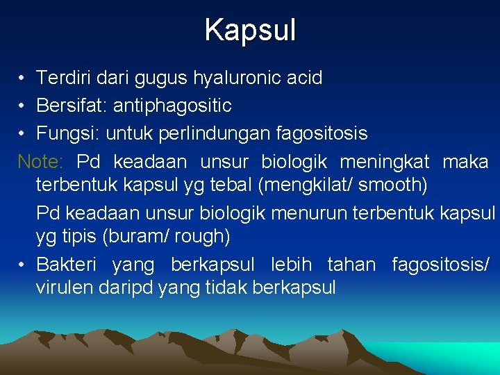 Kapsul • Terdiri dari gugus hyaluronic acid • Bersifat: antiphagositic • Fungsi: untuk perlindungan