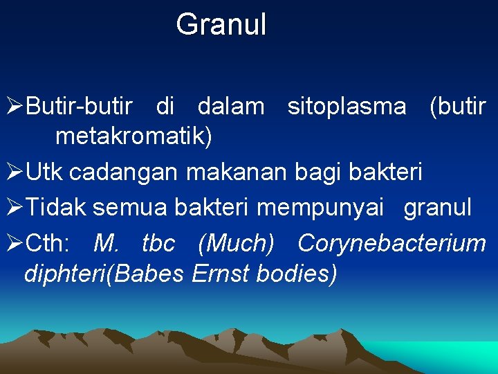 Granul ØButir-butir di dalam sitoplasma (butir metakromatik) ØUtk cadangan makanan bagi bakteri ØTidak semua