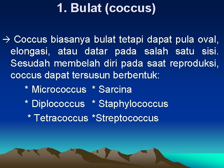 1. Bulat (coccus) Coccus biasanya bulat tetapi dapat pula oval, elongasi, atau datar pada