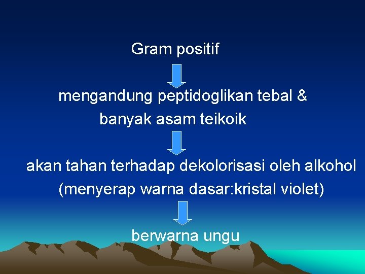 Gram positif mengandung peptidoglikan tebal & banyak asam teikoik akan tahan terhadap dekolorisasi oleh