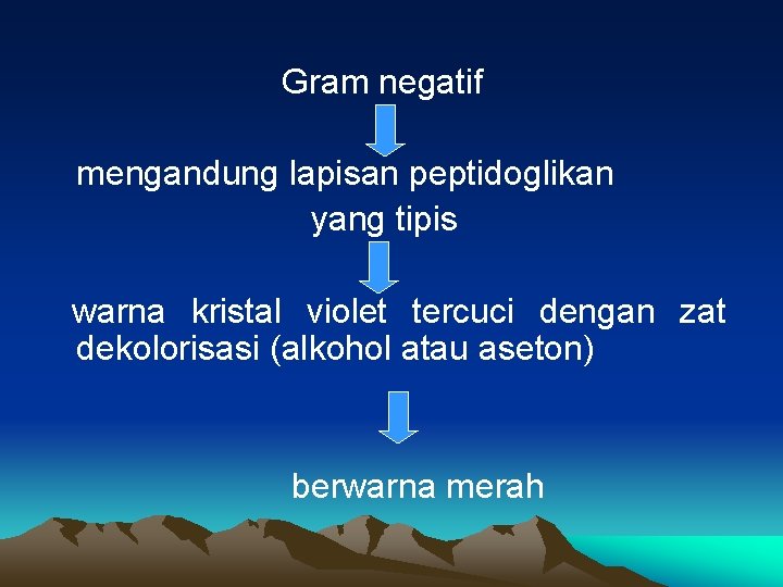 Gram negatif mengandung lapisan peptidoglikan yang tipis warna kristal violet tercuci dengan zat dekolorisasi