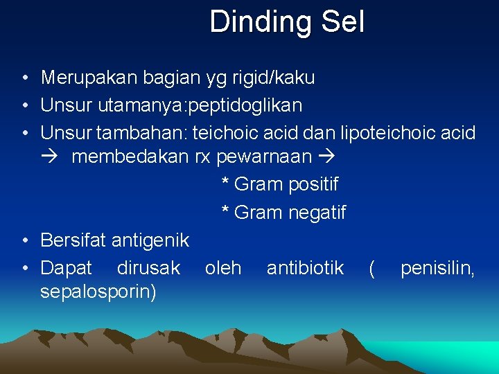 Dinding Sel • Merupakan bagian yg rigid/kaku • Unsur utamanya: peptidoglikan • Unsur tambahan:
