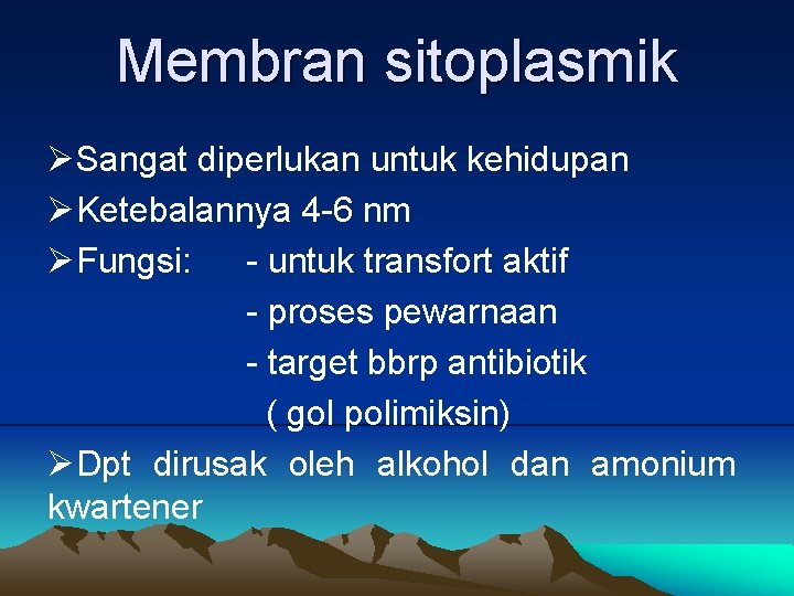Membran sitoplasmik ØSangat diperlukan untuk kehidupan ØKetebalannya 4 -6 nm ØFungsi: - untuk transfort
