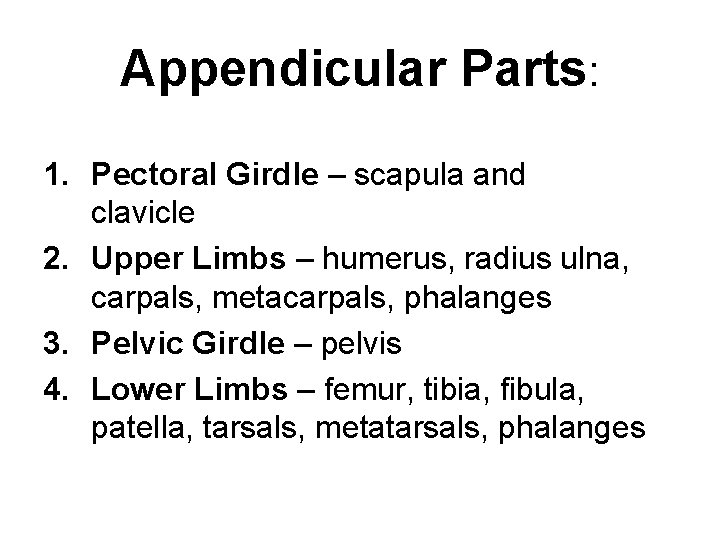 Appendicular Parts: 1. Pectoral Girdle – scapula and clavicle 2. Upper Limbs – humerus,