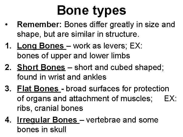 Bone types • 1. 2. 3. 4. Remember: Bones differ greatly in size and