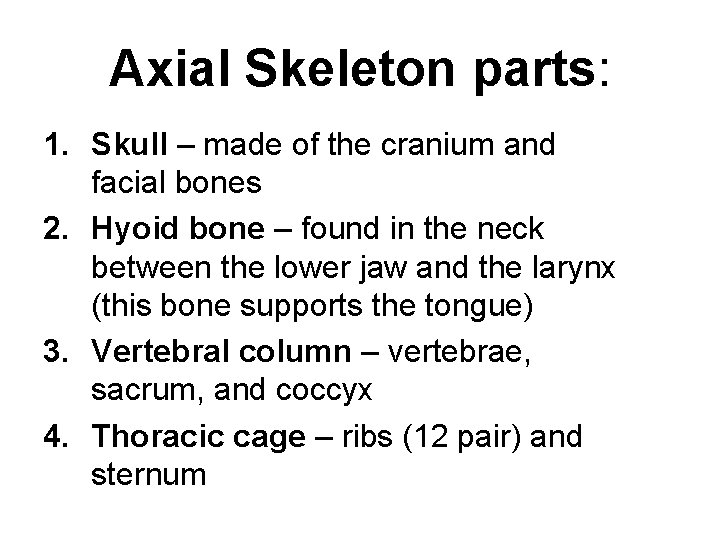Axial Skeleton parts: 1. Skull – made of the cranium and facial bones 2.