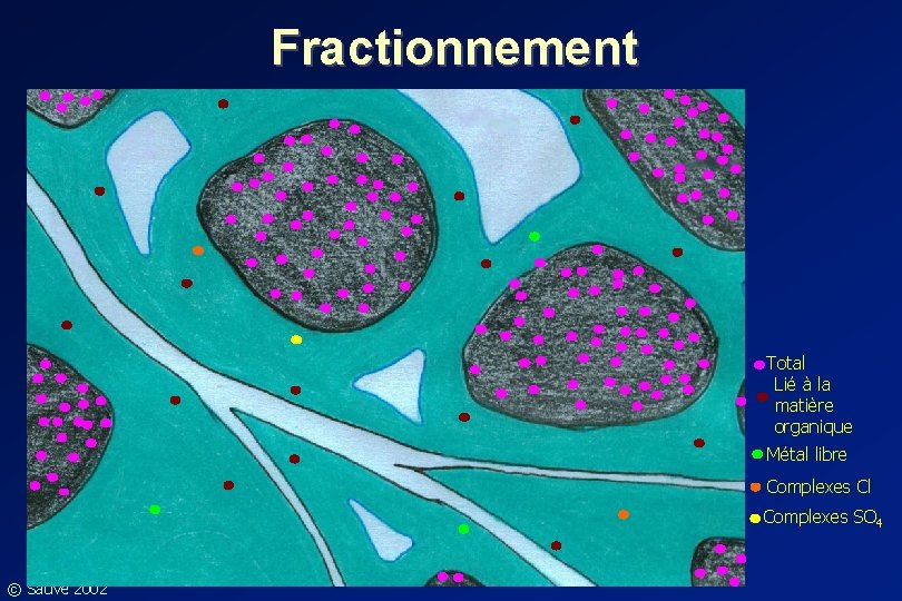 Fractionnement Total Lié à la matière organique Métal libre Complexes Cl Complexes SO 4