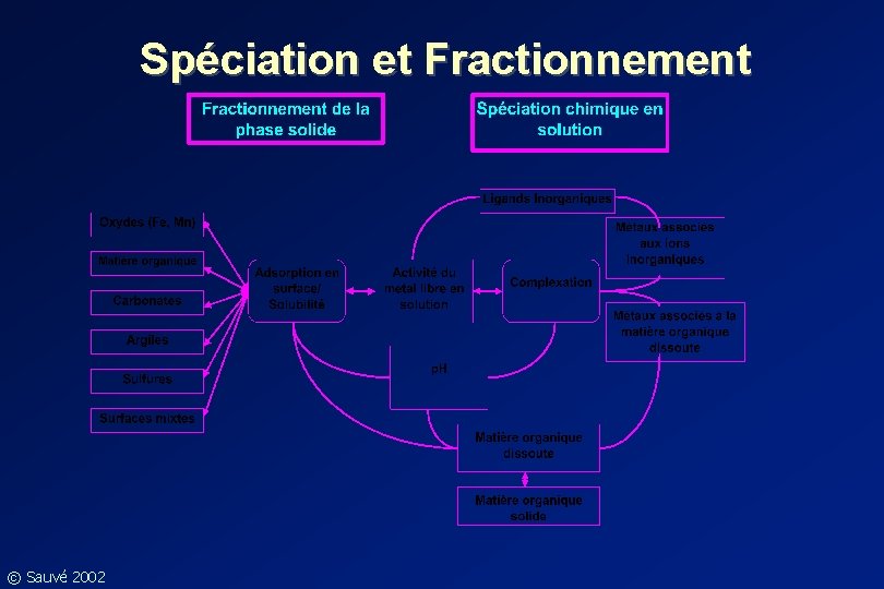 Spéciation et Fractionnement © Sauvé 2002 
