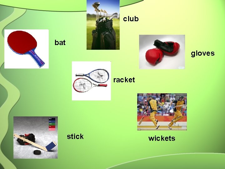 club bat gloves racket stick wickets 