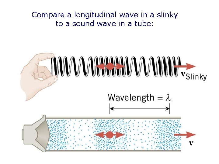 Compare a longitudinal wave in a slinky to a sound wave in a tube: