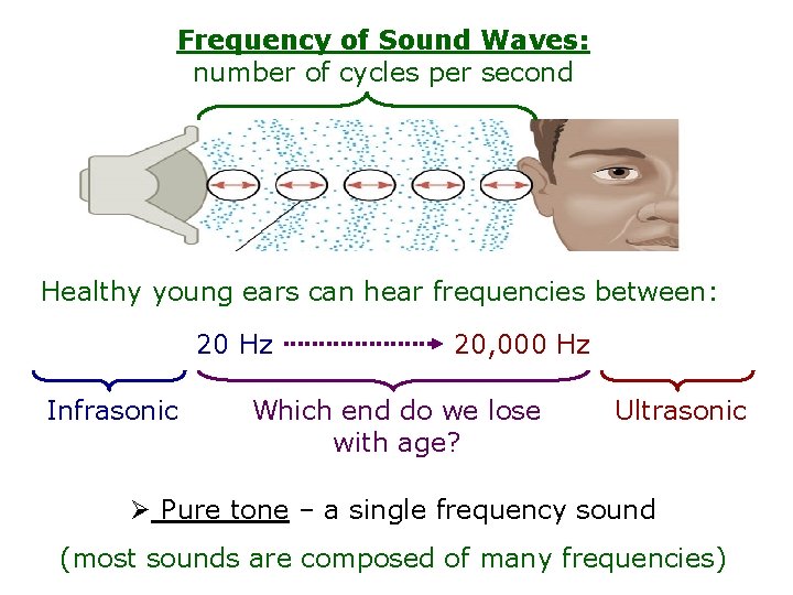 Frequency of Sound Waves: number of cycles per second Healthy young ears can hear