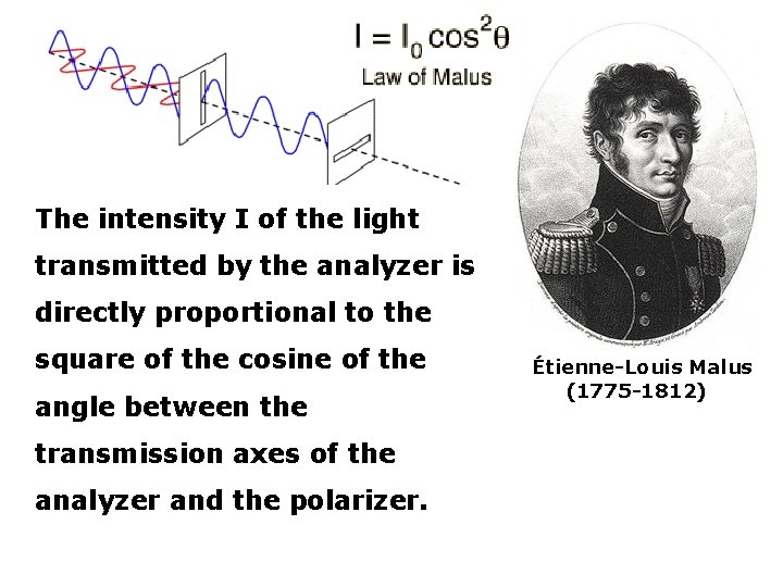 The intensity I of the light transmitted by the analyzer is directly proportional to