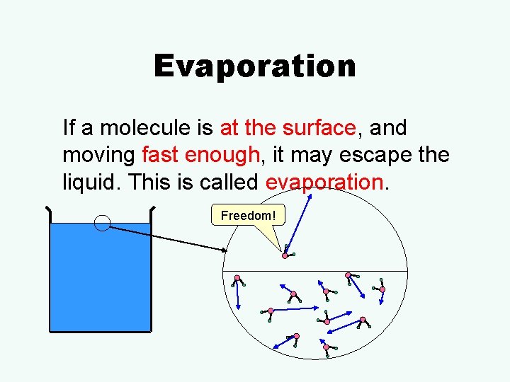 Evaporation If a molecule is at the surface, and moving fast enough, it may
