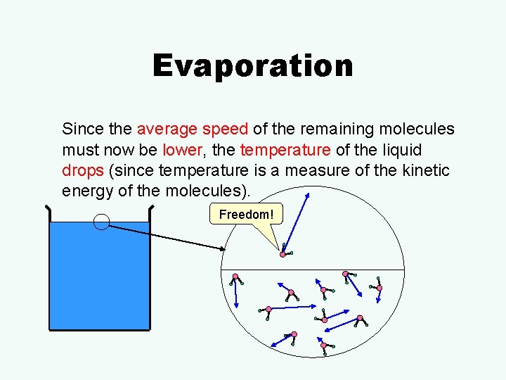Evaporation Since the average speed of the remaining molecules must now be lower, the
