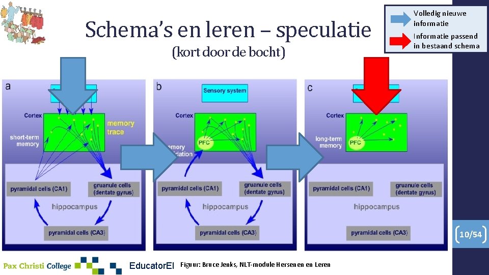 Schema’s en leren – speculatie (kort door de bocht) Volledig nieuwe informatie Informatie passend