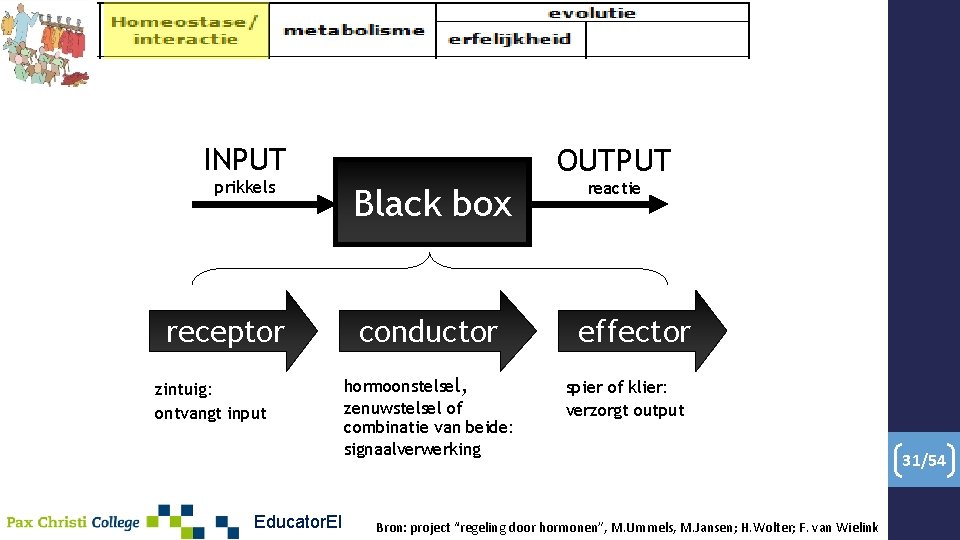 INPUT prikkels receptor zintuig: ontvangt input Educator. EI OUTPUT Black box conductor hormoonstelsel, zenuwstelsel