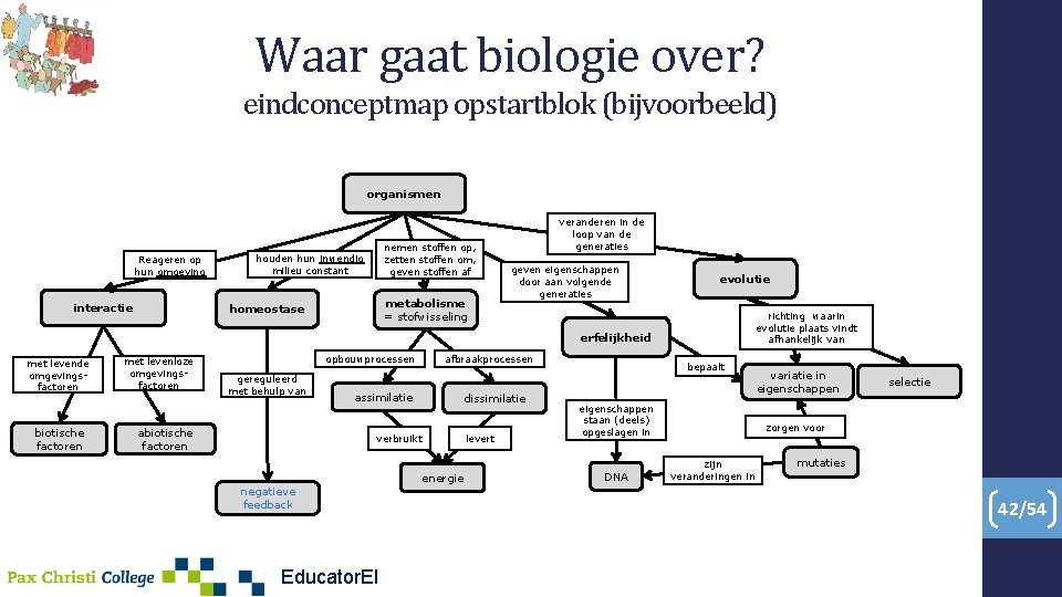 Waar gaat biologie over? eindconceptmap opstartblok (bijvoorbeeld) organismen Reageren op hun omgeving interactie nemen