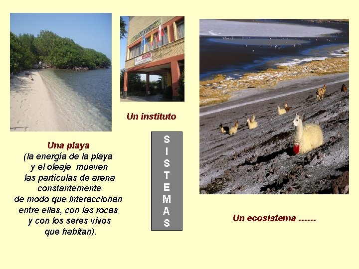 Un instituto Una playa (la energía de la playa y el oleaje mueven las