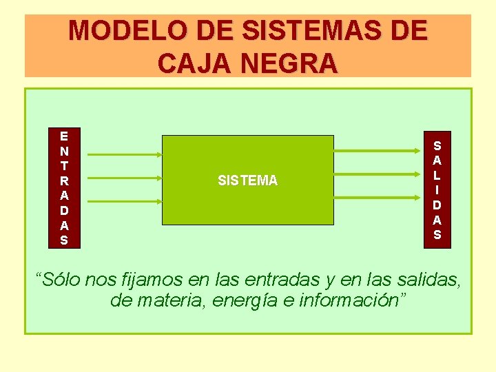 MODELO DE SISTEMAS DE CAJA NEGRA E N T R A D A S