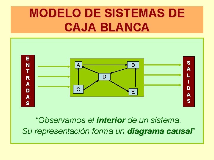 MODELO DE SISTEMAS DE CAJA BLANCA E N T R A D A S