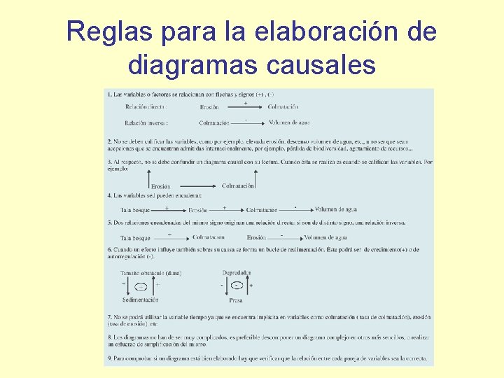 Reglas para la elaboración de diagramas causales 