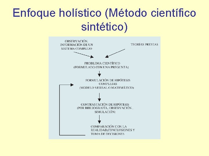 Enfoque holístico (Método científico sintético) 