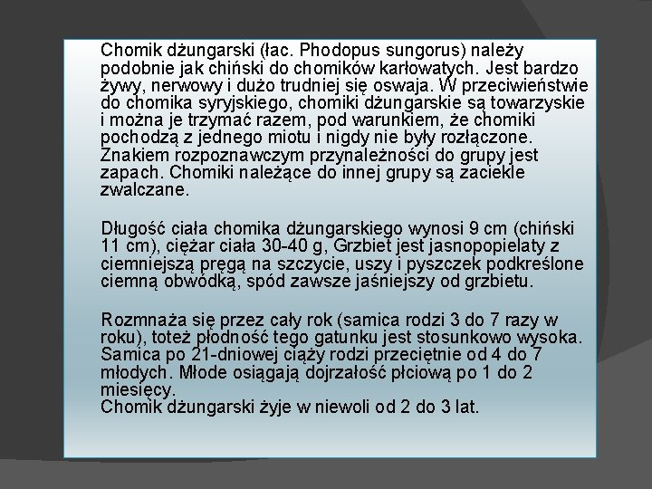 Chomik dżungarski (łac. Phodopus sungorus) należy podobnie jak chiński do chomików karłowatych. Jest bardzo