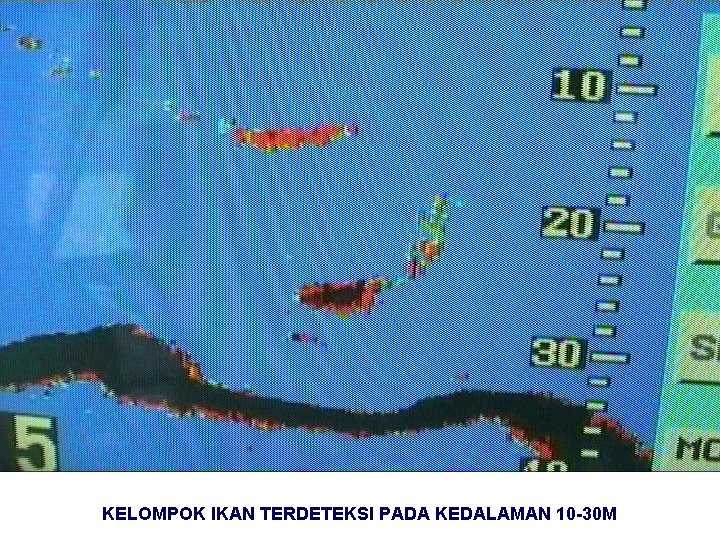 KELOMPOK IKAN TERDETEKSI PADA KEDALAMAN 10 -30 M 