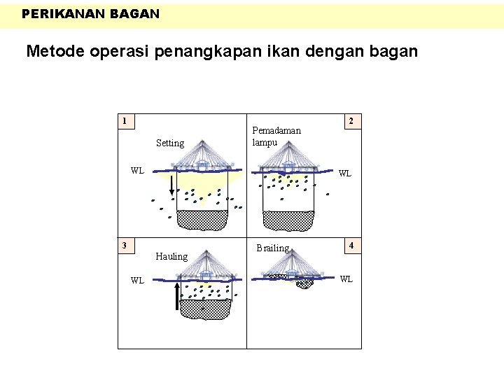 PERIKANAN BAGAN Metode operasi penangkapan ikan dengan bagan 1 Setting Pemadaman lampu WL WL