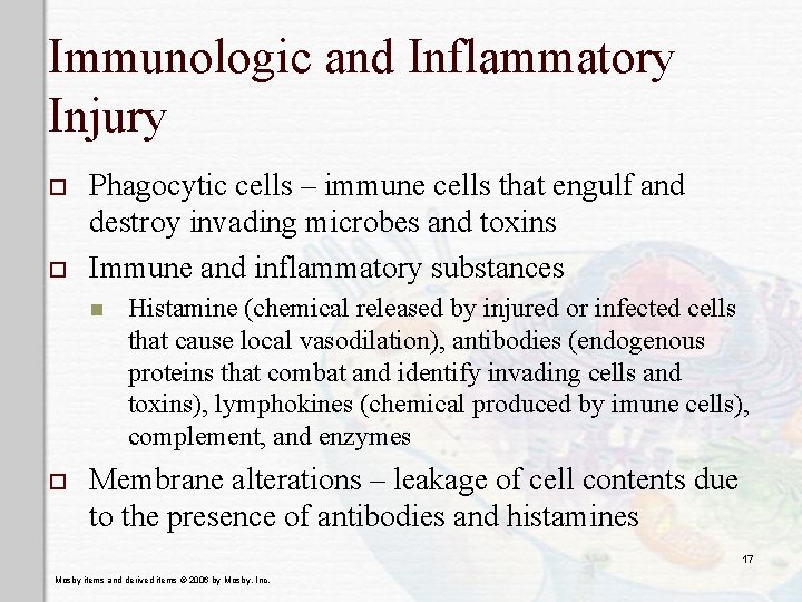 Immunologic and Inflammatory Injury o o Phagocytic cells – immune cells that engulf and