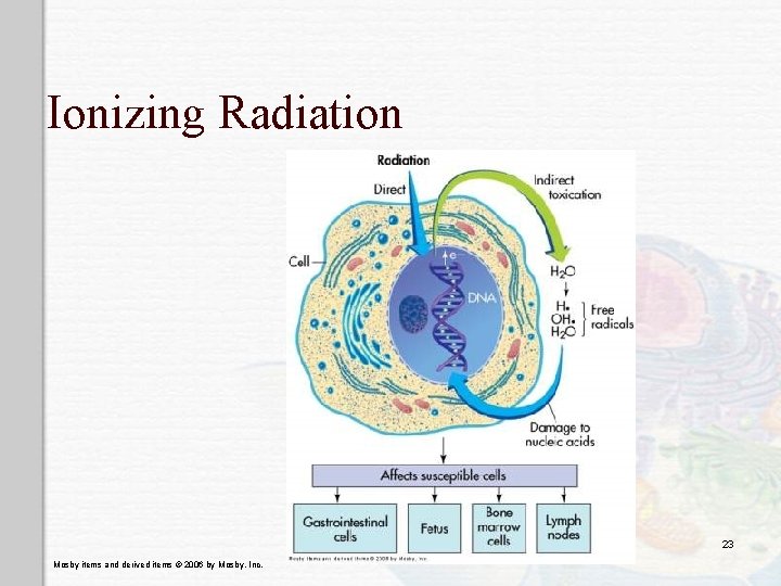 Ionizing Radiation 23 Mosby items and derived items © 2006 by Mosby, Inc. 
