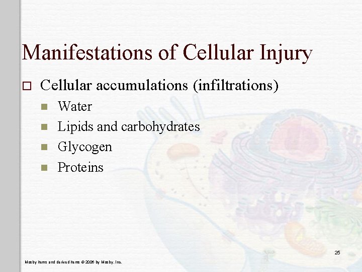 Manifestations of Cellular Injury o Cellular accumulations (infiltrations) n n Water Lipids and carbohydrates Manifestations of Cellular Injury o Cellular accumulations (infiltrations) n n Water Lipids and carbohydrates