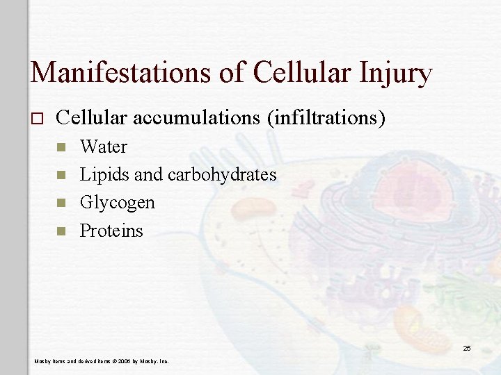 Manifestations of Cellular Injury o Cellular accumulations (infiltrations) n n Water Lipids and carbohydrates