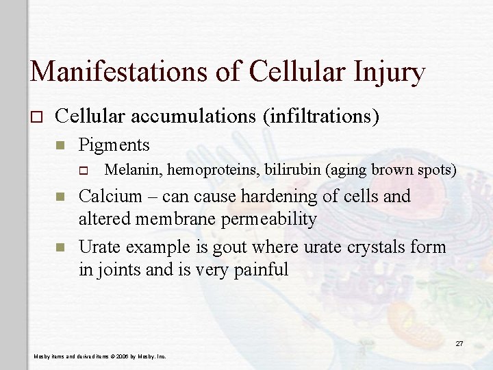 Manifestations of Cellular Injury o Cellular accumulations (infiltrations) n Pigments o n n Melanin,