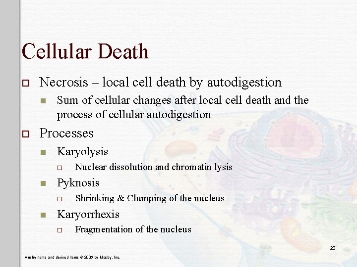 Cellular Death o Necrosis – local cell death by autodigestion n o Sum of