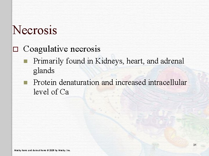Necrosis o Coagulative necrosis n n Primarily found in Kidneys, heart, and adrenal glands Necrosis o Coagulative necrosis n n Primarily found in Kidneys, heart, and adrenal glands