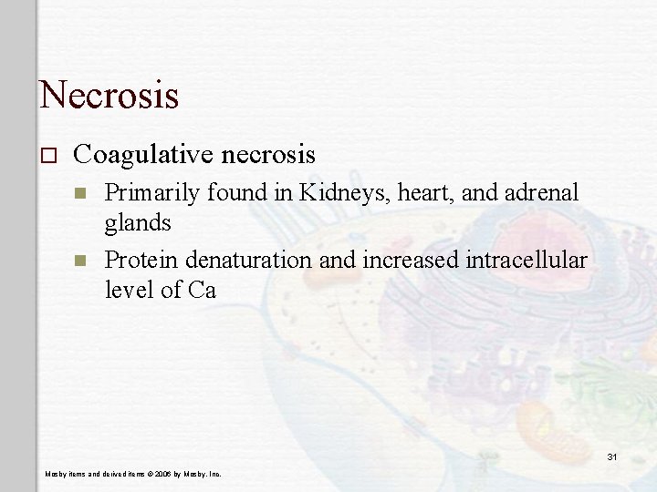 Necrosis o Coagulative necrosis n n Primarily found in Kidneys, heart, and adrenal glands