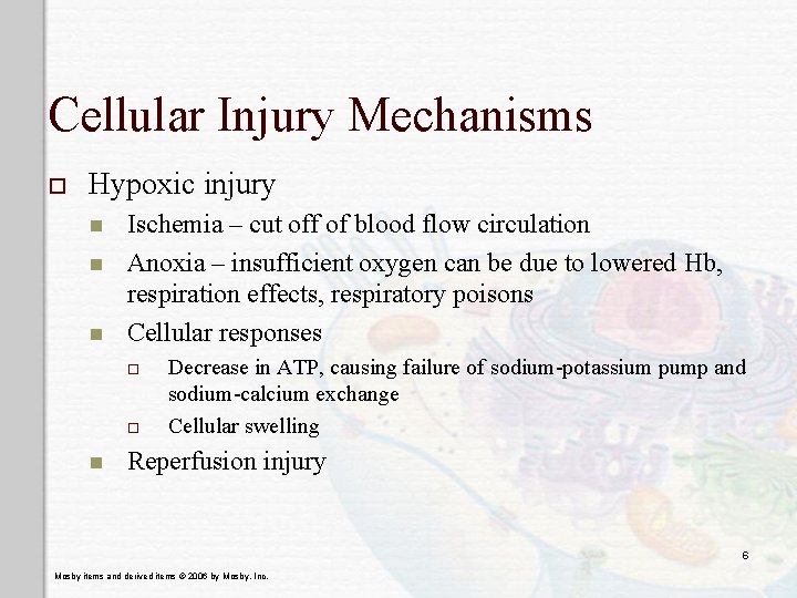 Cellular Injury Mechanisms o Hypoxic injury n n n Ischemia – cut off of