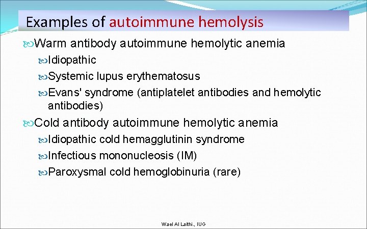Examples of autoimmune hemolysis Warm antibody autoimmune hemolytic anemia Warm antibody Idiopathic Systemic lupus