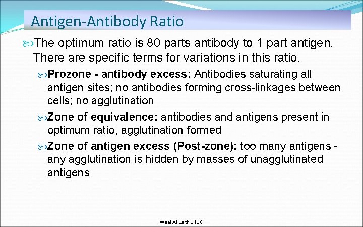 Antigen-Antibody Ratio The optimum ratio is 80 parts antibody to 1 part antigen. There