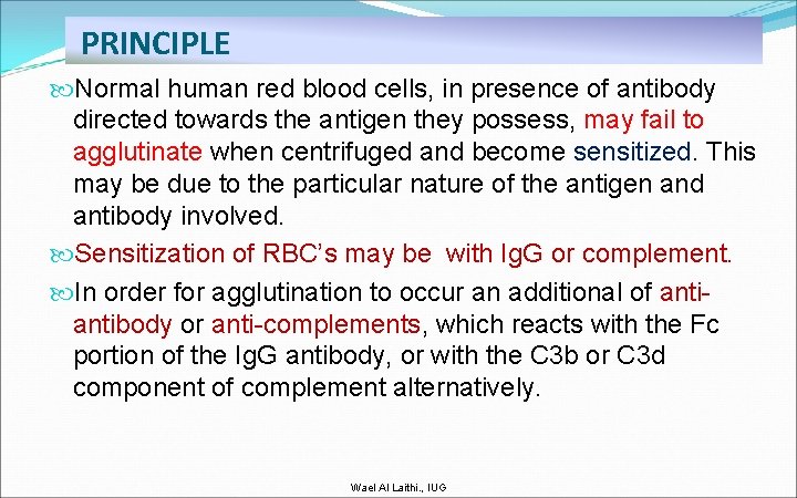 PRINCIPLE Normal human red blood cells, in presence of antibody directed towards the antigen