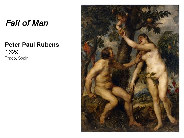 Fall of Man Peter Paul Rubens 1629 Prado, Spain 