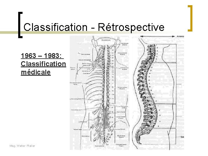 Classification - Rétrospective 1963 – 1983: Classification médicale Mag. Walter Pfaller 