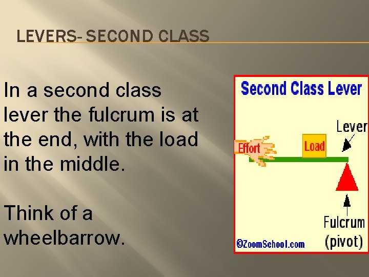 LEVERS- SECOND CLASS In a second class lever the fulcrum is at the end,