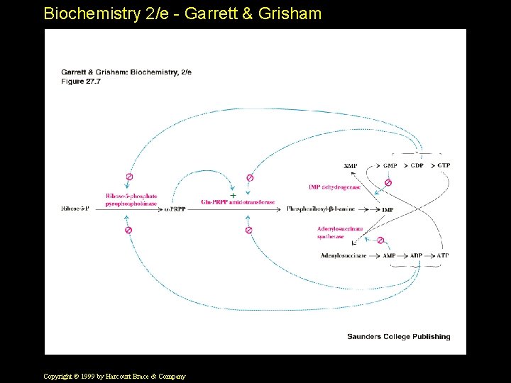 Biochemistry 2/e - Garrett & Grisham Copyright © 1999 by Harcourt Brace & Company