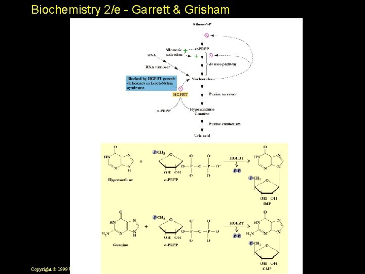 Biochemistry 2/e - Garrett & Grisham Copyright © 1999 by Harcourt Brace & Company