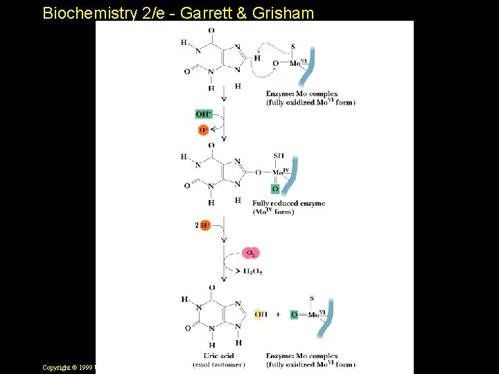 Biochemistry 2/e - Garrett & Grisham Copyright © 1999 by Harcourt Brace & Company