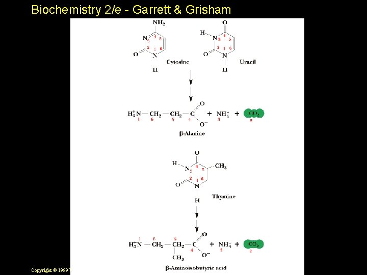 Biochemistry 2/e - Garrett & Grisham Copyright © 1999 by Harcourt Brace & Company